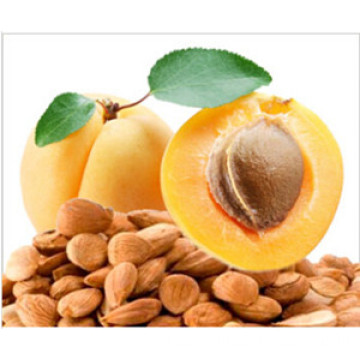 China Good Quality Apricot Kernel (2-3cm)